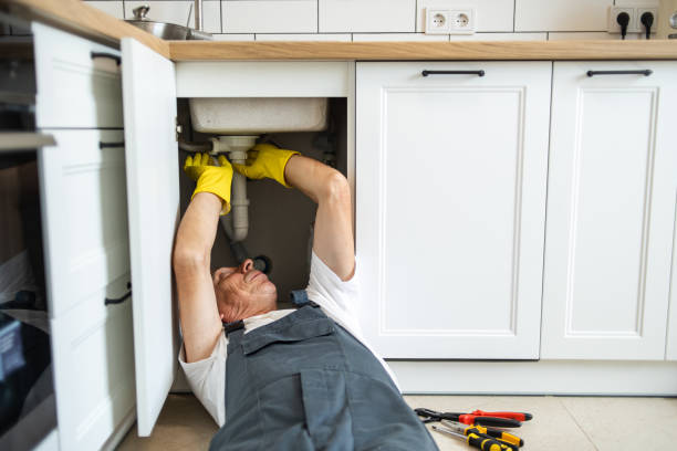 Best Sprinkler Systems  in Morningside, MD